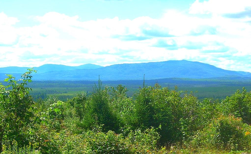 My 2014 Jackman Maine trip Graybeard Outdoors